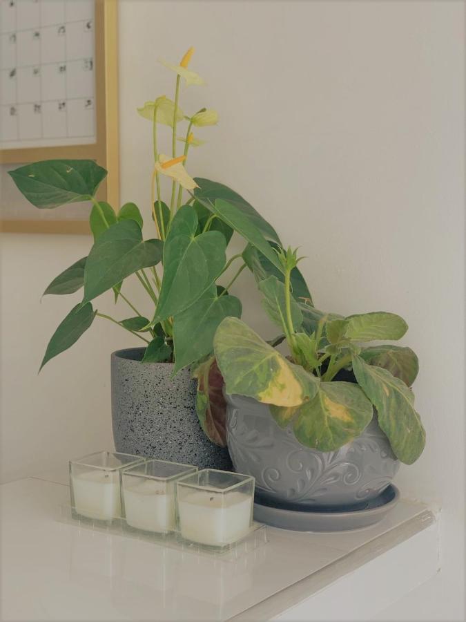 Buritaca House Guest House Ngoại thất bức ảnh